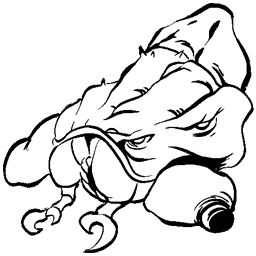 Pulmonoscorpius